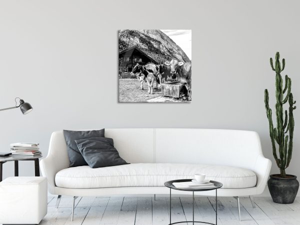 Kühe auf Almwiese am Trog, Monochrome, Glasbild Quadratisch Mode – Bild 2
