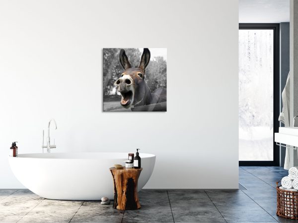 Brüllender Esel im Gehege Nahaufnahme B&W Detail, Glasbild Quadratisch Im Angebot – Bild 4