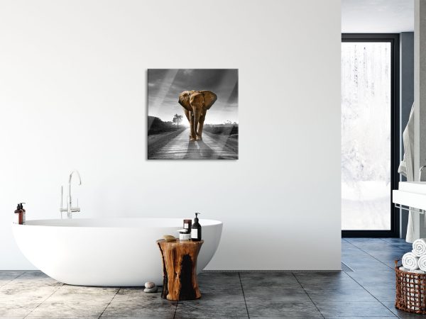 Elefant frontal auf Straße laufend B&W Detail, Glasbild Quadratisch Jetzt online – Bild 4