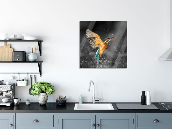 Eisvogel auf der Jagd nach Fischen B&W Detail, Glasbild Quadratisch Zu verkaufen – Bild 3