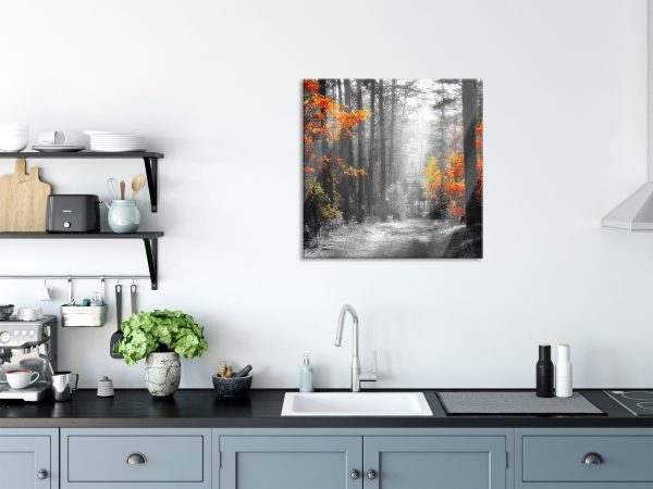 Sonnige Lichtung im Herbstwald B&W Detail, Glasbild Quadratisch Online-Verkauf – Bild 3