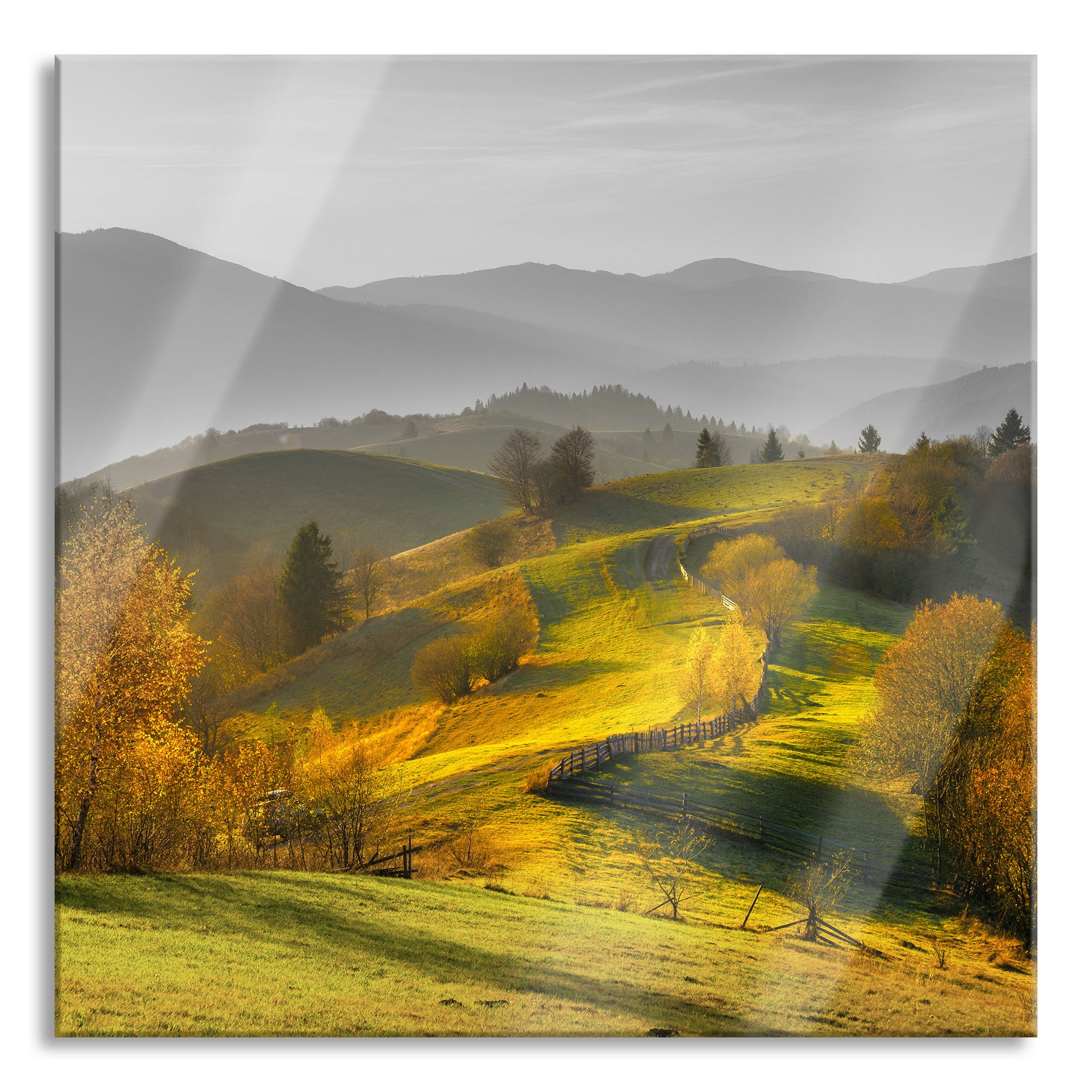 Hügelige Herbstlandschaft bei Sonnenuntergang B&W Detail, Glasbild Quadratisch Im Angebot