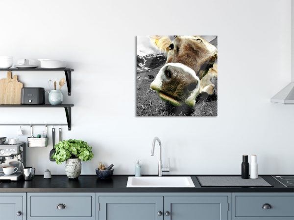 Kuhschnauze Nahaufnahme B&W Detail, Glasbild Quadratisch Jetzt online – Bild 3