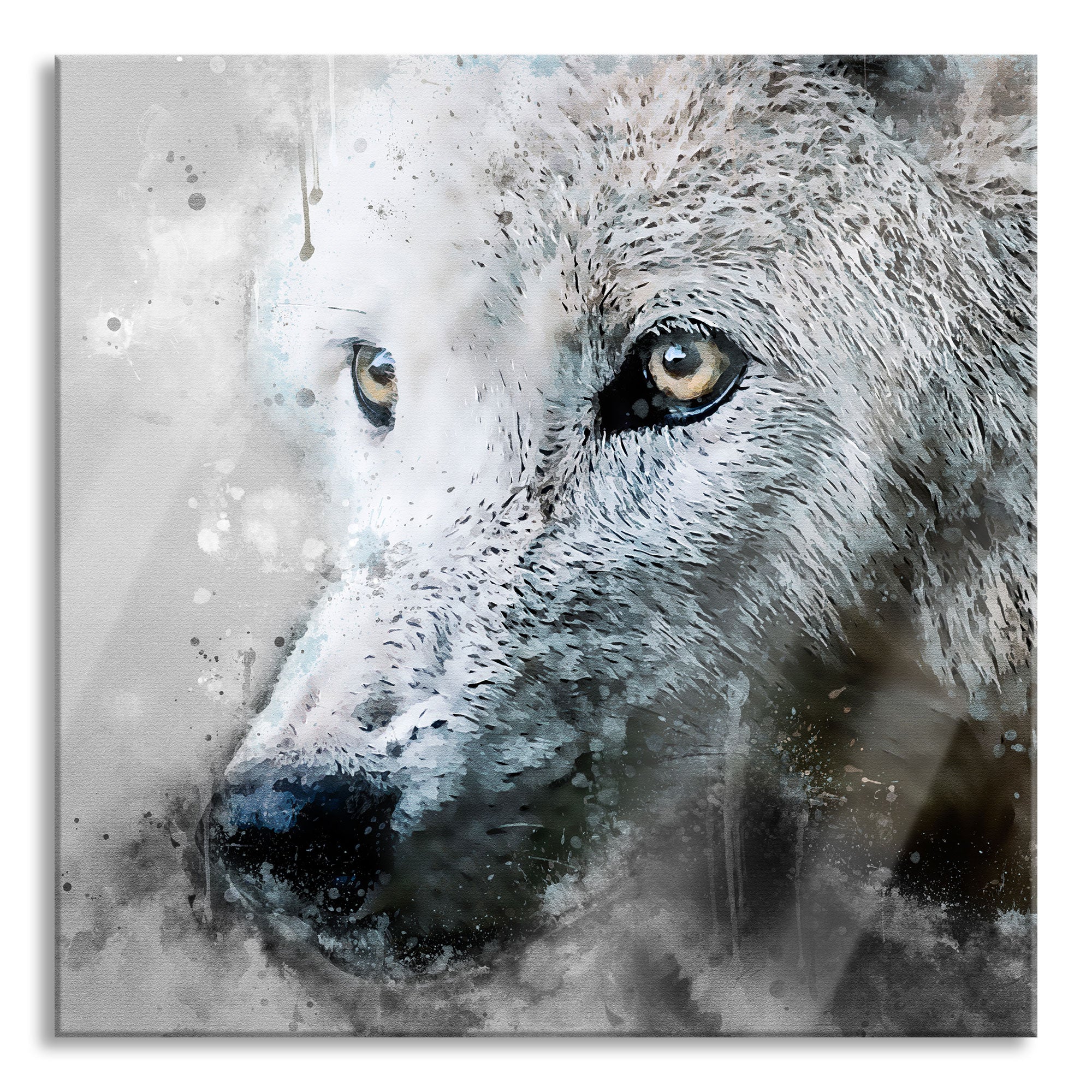 Dreckiger Wolf Nahaufnahme B&W Detail, Glasbild Quadratisch Zu verkaufen