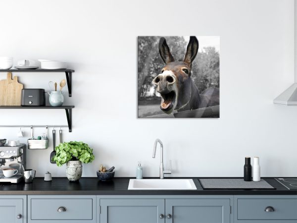 Brüllender Esel im Gehege Nahaufnahme B&W Detail, Glasbild Quadratisch Im Angebot – Bild 3