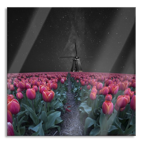 Tulpenfeld mit Windmühle bei Nacht B&W Detail, Glasbild Quadratisch Rabatt