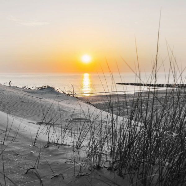 Dünenblick auf Meer bei Sonnenuntergang B&W Detail, Glasbild Quadratisch Im Angebot – Bild 5