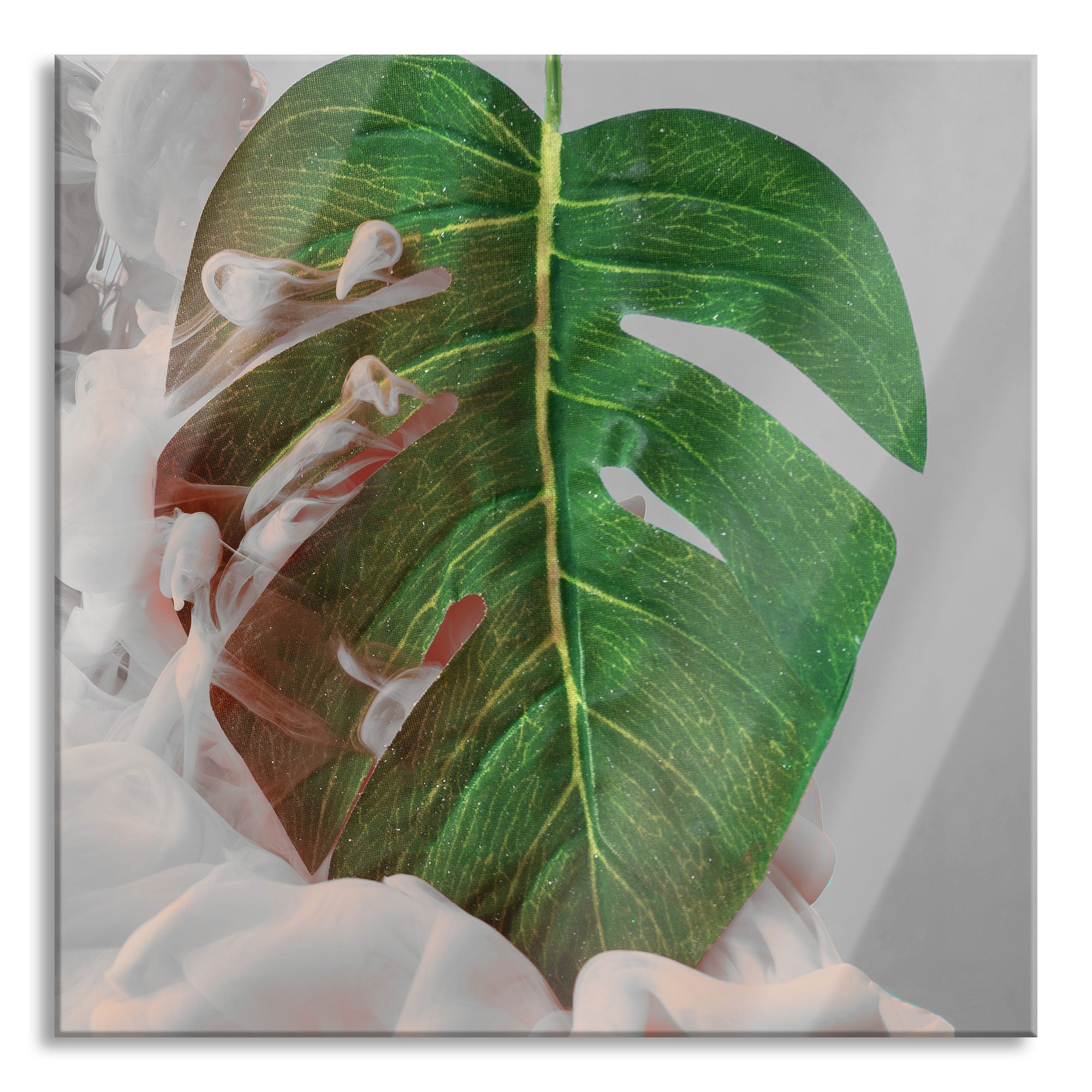 Monstera Blatt mit Pastelwolke B&W Detail, Glasbild Quadratisch Online-Verkauf