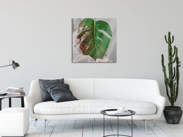 Monstera Blatt mit Pastelwolke B&W Detail, Glasbild Quadratisch Online-Verkauf – Bild 2