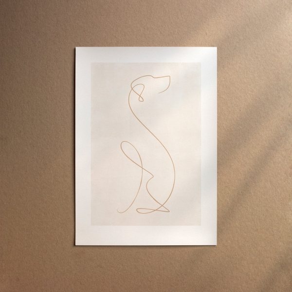 Braque Saint-Germain  [Line-Cream] Zu verkaufen – Bild 2