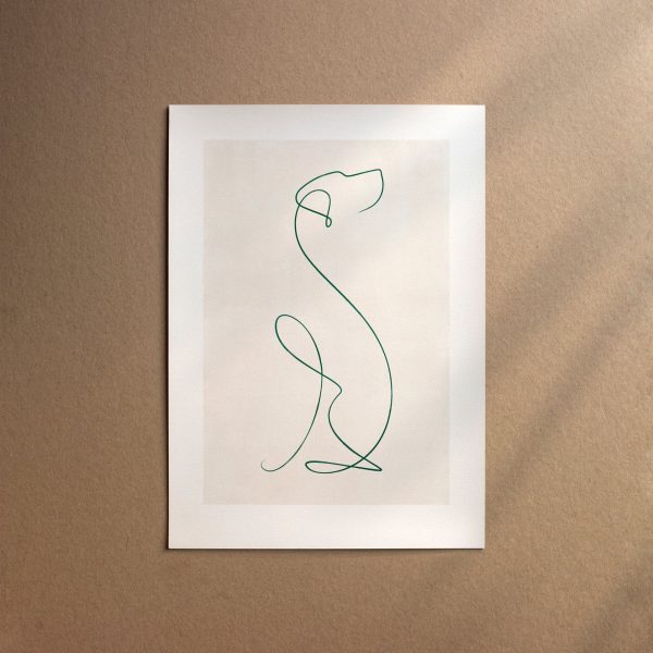 Braque Francais Pyrenean  [Line-Forest] Zu verkaufen – Bild 2